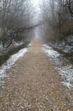 entry picture