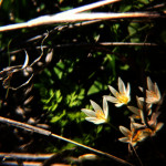 entry picture