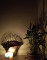 entry picture