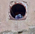 entry picture