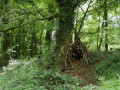 entry picture