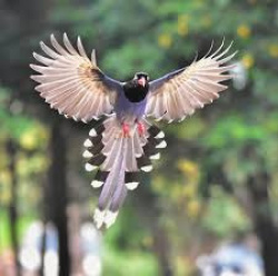 entry picture