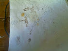 entry picture