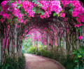 entry picture