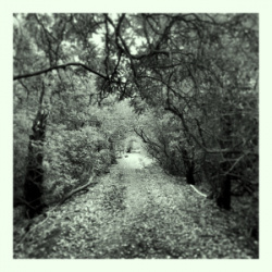 entry picture