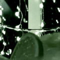 entry picture