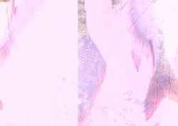 entry picture