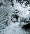 entry picture
