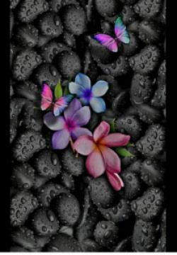 entry picture
