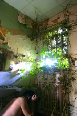 entry picture