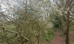 entry picture