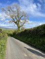 entry picture