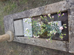 entry picture
