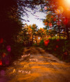 entry picture
