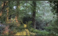 entry picture