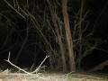 entry picture