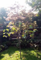 entry picture
