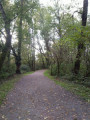entry picture