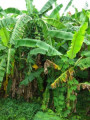 entry picture