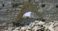 entry picture