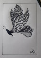 entry picture
