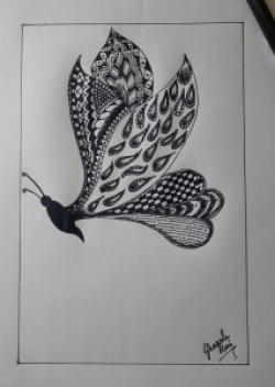 entry picture