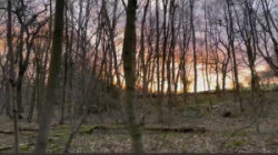 entry picture