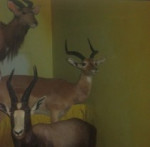 entry picture