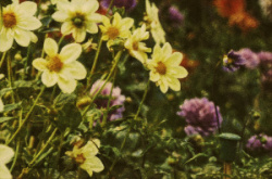 entry picture