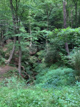 entry picture