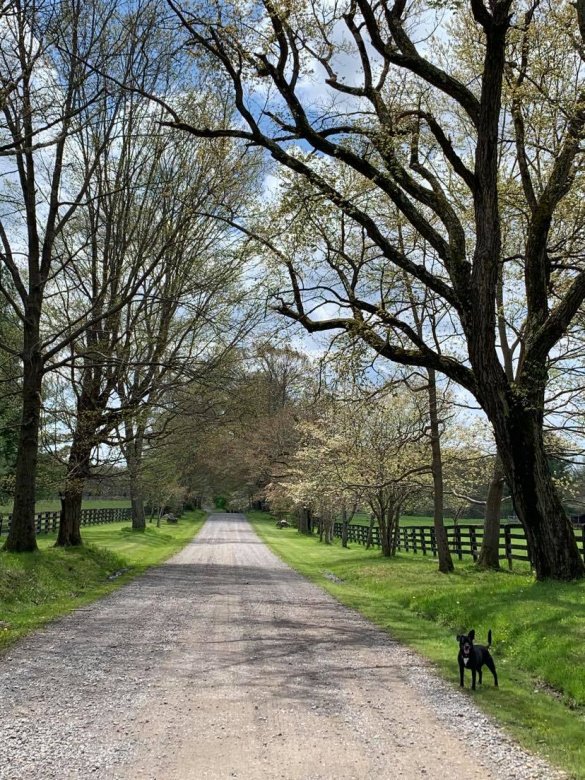 entry picture