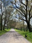 entry picture