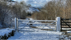 entry picture