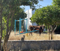 entry picture