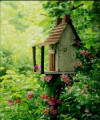 entry picture
