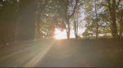 entry picture
