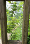 entry picture
