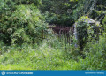 entry picture