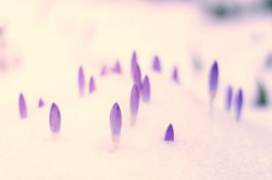 entry picture