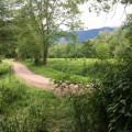 entry picture