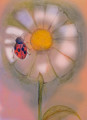 entry picture