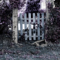 entry picture