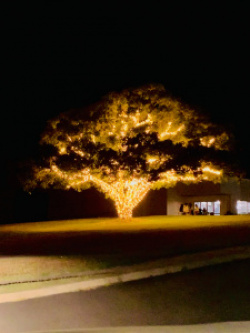 entry picture