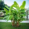 entry picture
