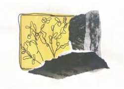 entry picture