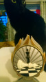entry picture
