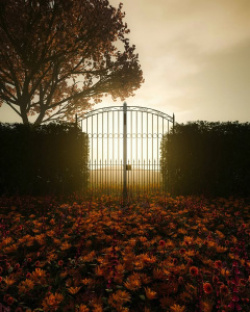 entry picture