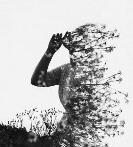 Gentle Gale