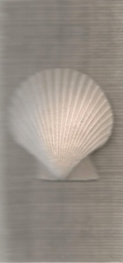 entry picture