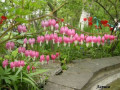 entry picture